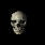 The Bovis Skull
