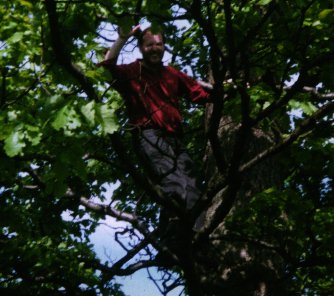 John A Smith up a tree